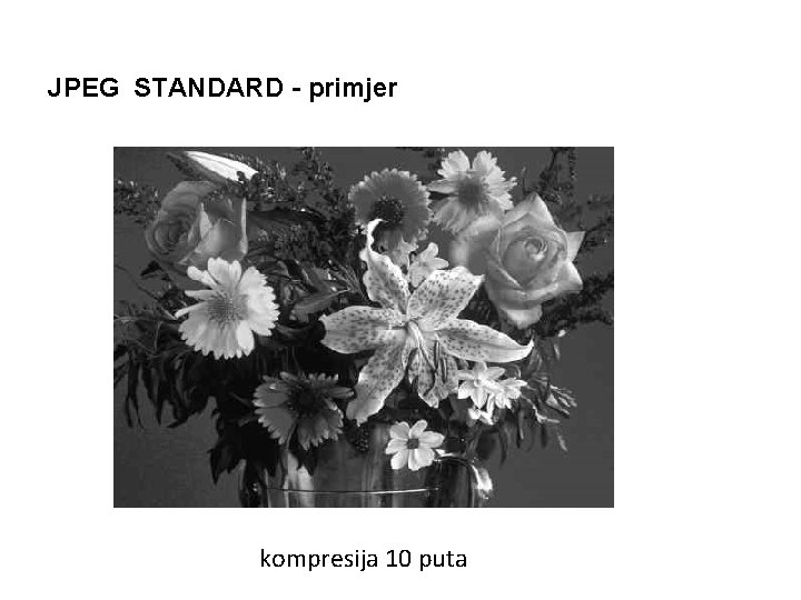 JPEG STANDARD - primjer kompresija 10 puta 