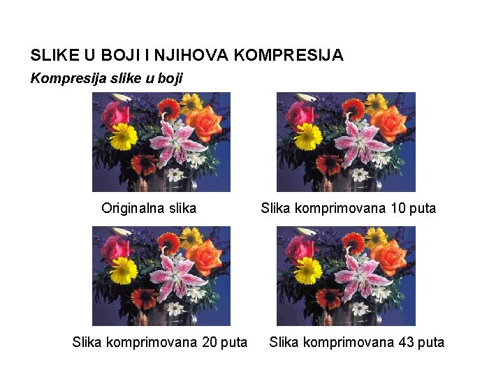 SLIKE U BOJI I NJIHOVA KOMPRESIJA Kompresija slike u boji Originalna slika Slika komprimovana