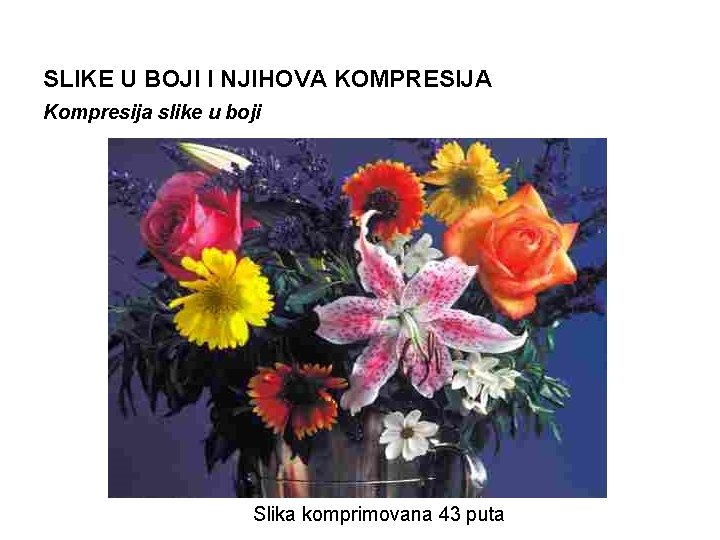 SLIKE U BOJI I NJIHOVA KOMPRESIJA Kompresija slike u boji Slika komprimovana 43 puta