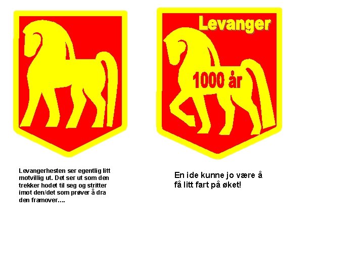 Levangerhesten ser egentlig litt motvillig ut. Det ser ut som den trekker hodet til