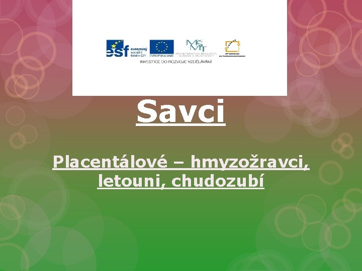 Savci Placentálové – hmyzožravci, letouni, chudozubí 