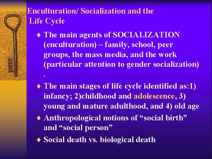 Enculturation/ Socialization and the Life Cycle ¨ The main agents of SOCIALIZATION (enculturation) –