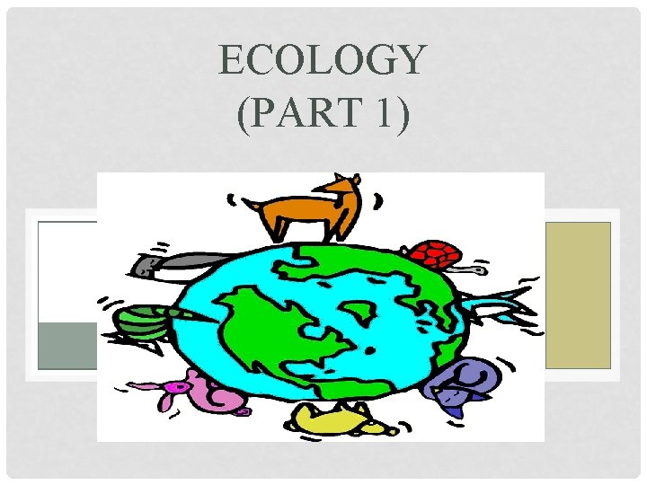 ECOLOGY (PART 1) 