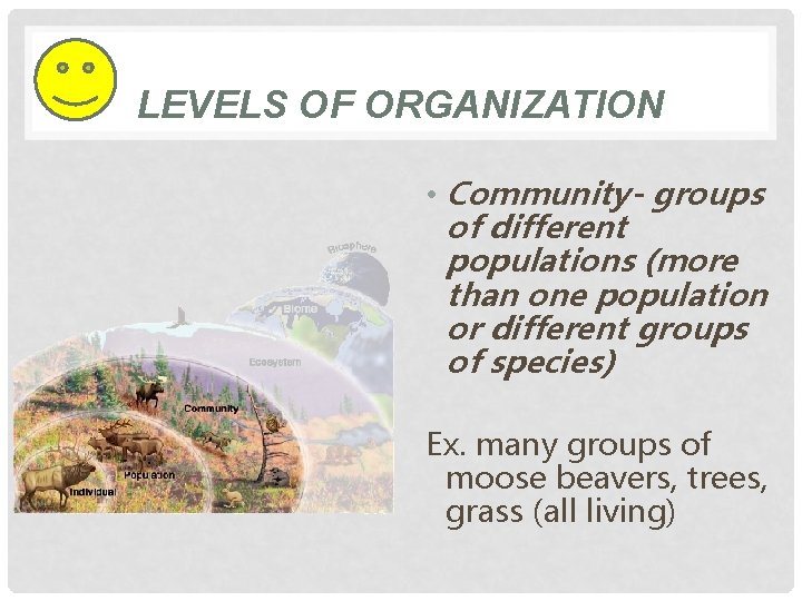 LEVELS OF ORGANIZATION • Community- groups of different populations (more than one population or