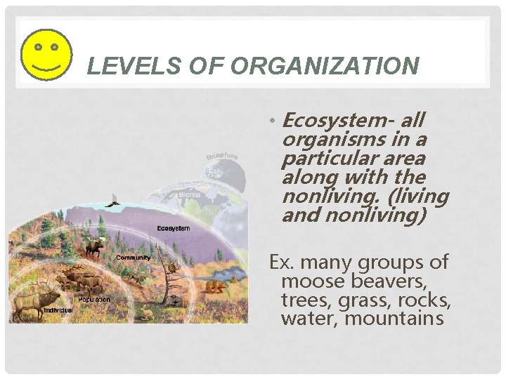 LEVELS OF ORGANIZATION • Ecosystem- all organisms in a particular area along with the