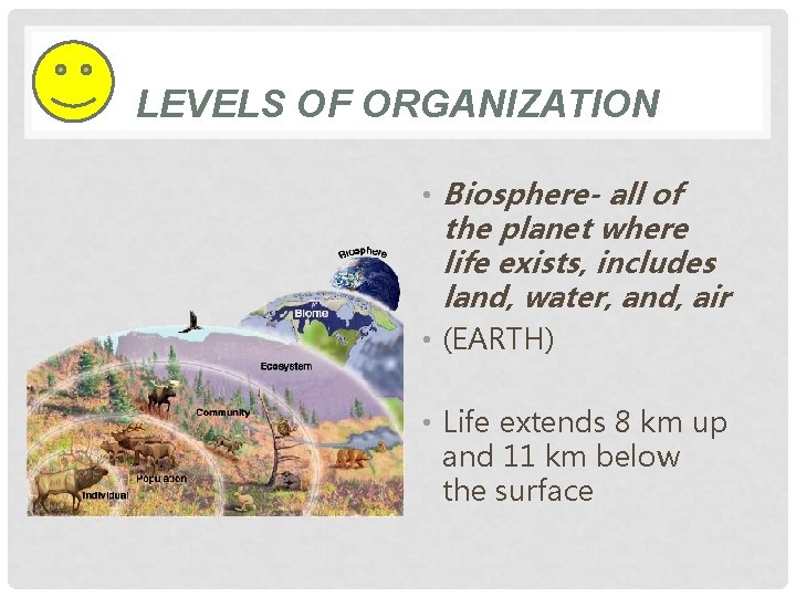 LEVELS OF ORGANIZATION • Biosphere- all of the planet where life exists, includes land,