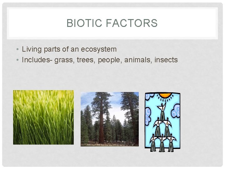 BIOTIC FACTORS • Living parts of an ecosystem • Includes- grass, trees, people, animals,