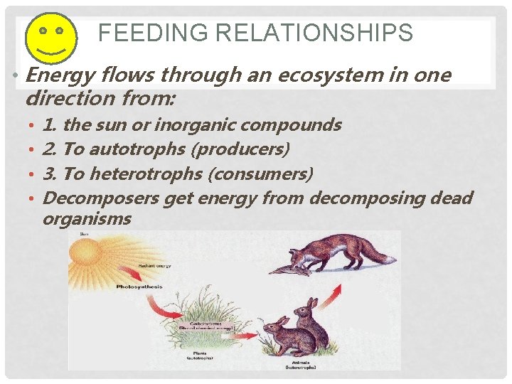 FEEDING RELATIONSHIPS • Energy flows through an ecosystem in one direction from: • •