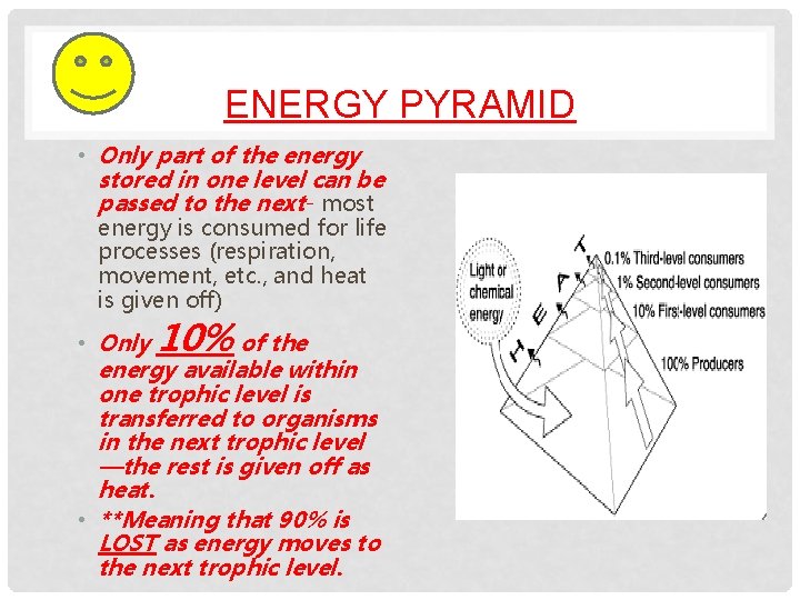 ENERGY PYRAMID • Only part of the energy stored in one level can be