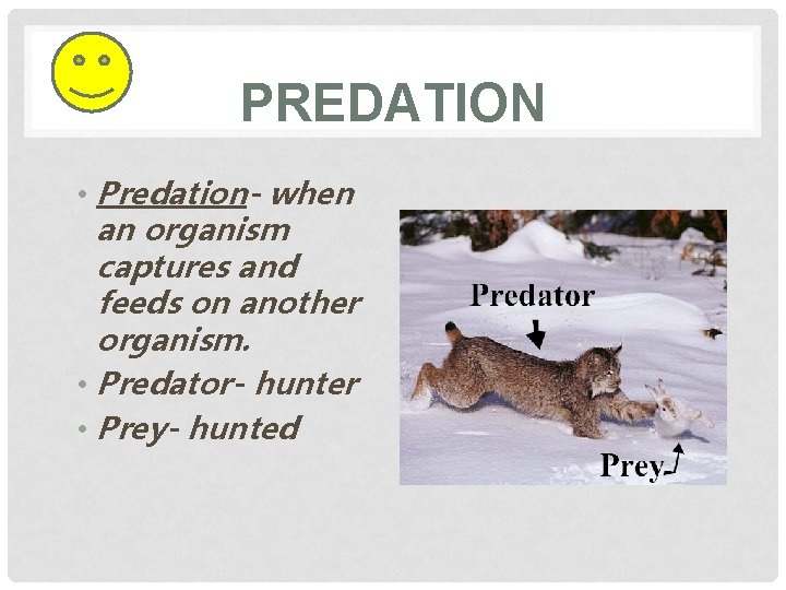 PREDATION • Predation- when an organism captures and feeds on another organism. • Predator-