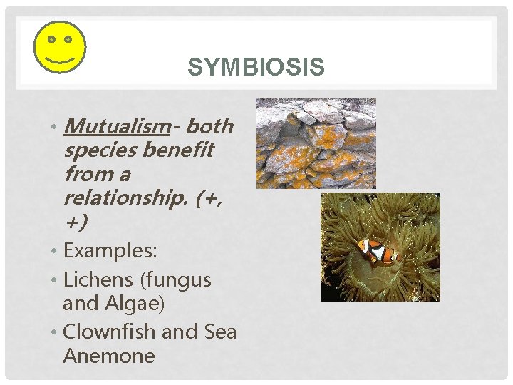 SYMBIOSIS • Mutualism- both species benefit from a relationship. (+, +) • Examples: •