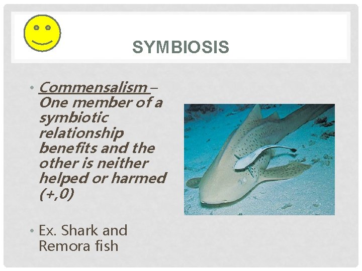 SYMBIOSIS • Commensalism – One member of a symbiotic relationship benefits and the other