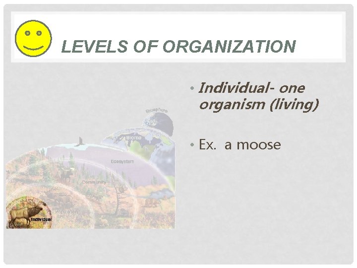 LEVELS OF ORGANIZATION • Individual- one organism (living) • Ex. a moose 