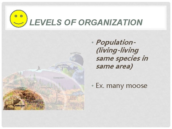 LEVELS OF ORGANIZATION • Population(living-living same species in same area) • Ex. many moose