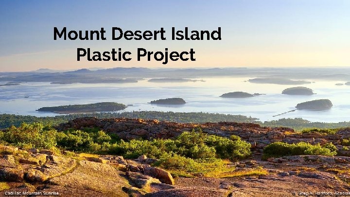 Mount Desert Island Plastic Project 