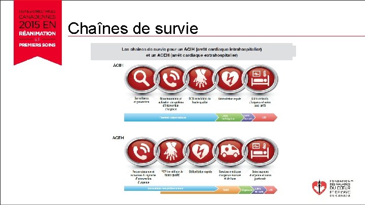 Chaînes de survie 