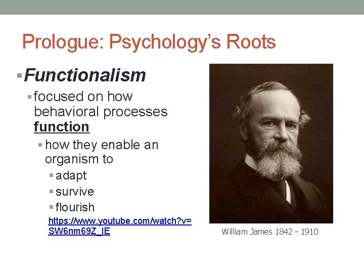 Prologue: Psychology’s Roots §Functionalism § focused on how behavioral processes function § how they Prologue: Psychology’s Roots §Functionalism § focused on how behavioral processes function § how they