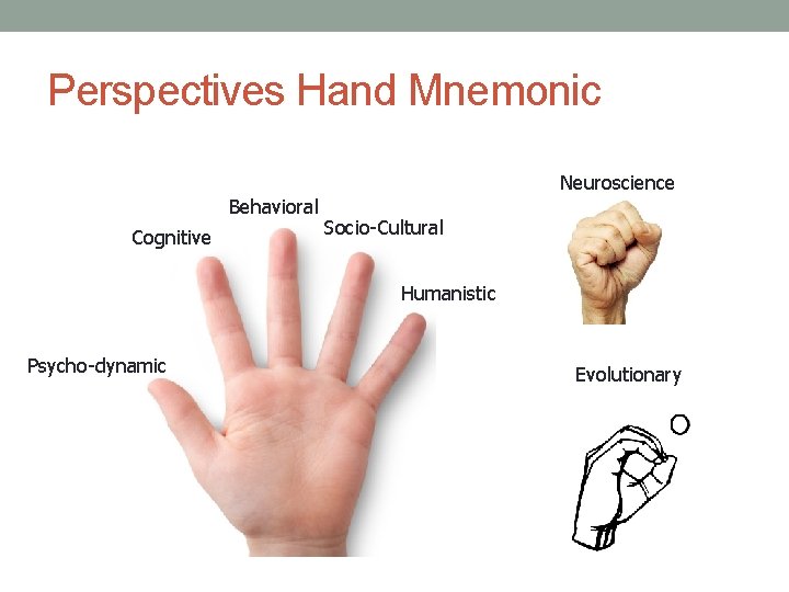 Perspectives Hand Mnemonic Behavioral Cognitive Neuroscience Socio-Cultural Humanistic Psycho-dynamic Evolutionary Perspectives Hand Mnemonic Behavioral Cognitive Neuroscience Socio-Cultural Humanistic Psycho-dynamic Evolutionary