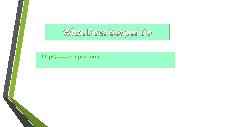 What Does Scopus Do http: //www. scopus. com/ 