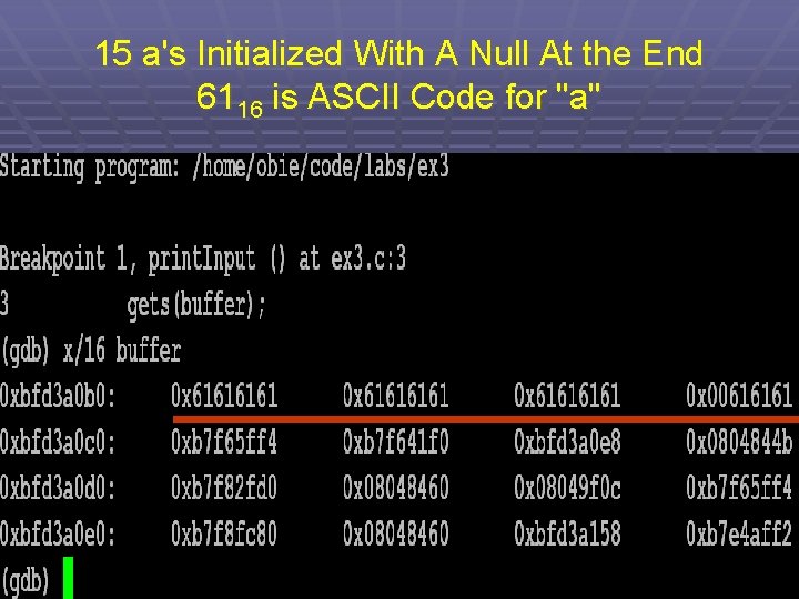 15 a's Initialized With A Null At the End 6116 is ASCII Code for