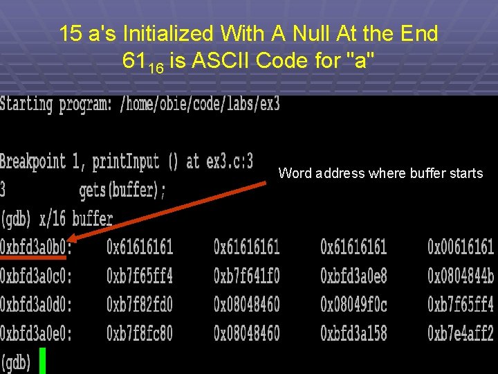 15 a's Initialized With A Null At the End 6116 is ASCII Code for
