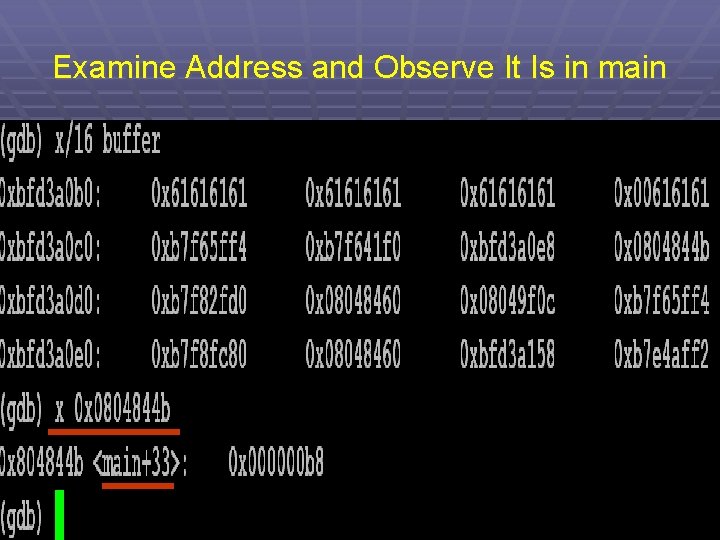 Examine Address and Observe It Is in main 50 