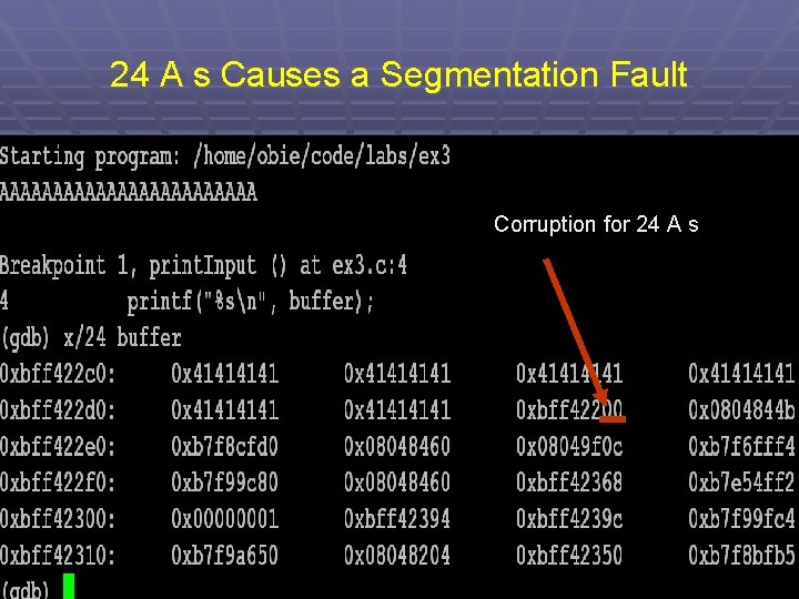 24 A s Causes a Segmentation Fault Corruption for 24 A s 52 