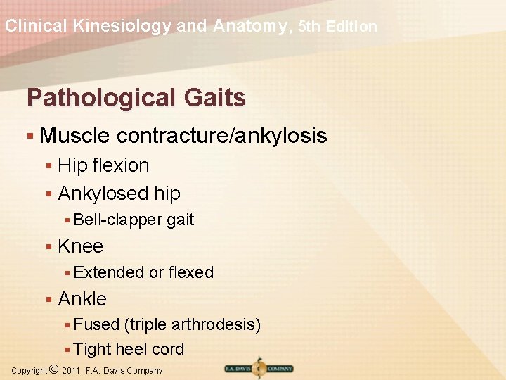 Clinical Kinesiology and Anatomy, 5 th Edition Pathological Gaits § Muscle contracture/ankylosis Hip flexion
