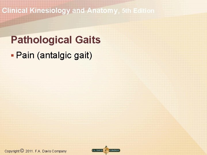 Clinical Kinesiology and Anatomy, 5 th Edition Pathological Gaits § Pain (antalgic gait) Copyright