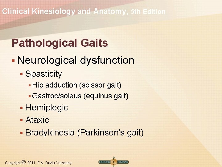 Clinical Kinesiology and Anatomy, 5 th Edition Pathological Gaits § Neurological dysfunction § Spasticity