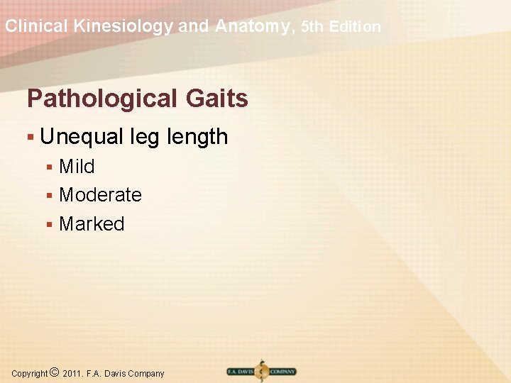 Clinical Kinesiology and Anatomy, 5 th Edition Pathological Gaits § Unequal leg length Mild