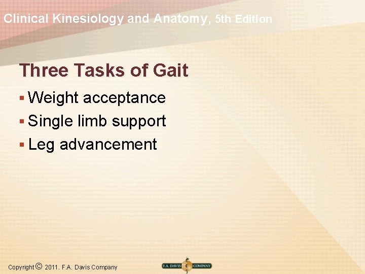 Clinical Kinesiology and Anatomy, 5 th Edition Three Tasks of Gait § Weight acceptance