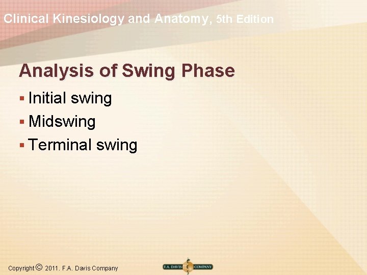 Clinical Kinesiology and Anatomy, 5 th Edition Analysis of Swing Phase § Initial swing