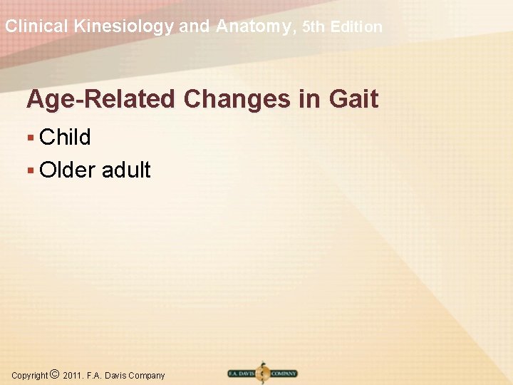 Clinical Kinesiology and Anatomy, 5 th Edition Age-Related Changes in Gait § Child §