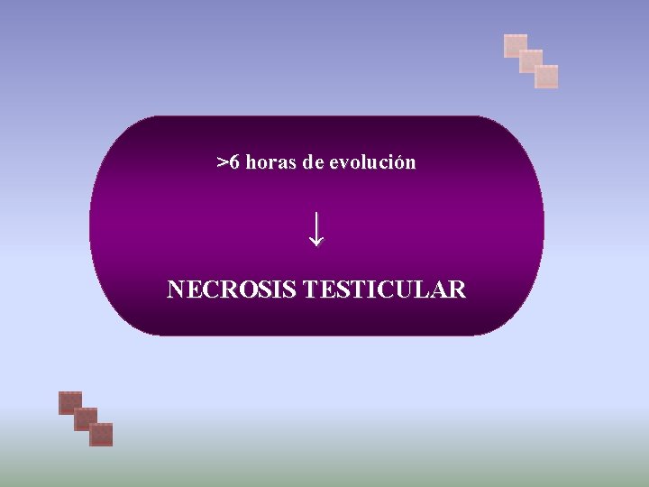 >6 horas de evolución ↓ NECROSIS TESTICULAR 