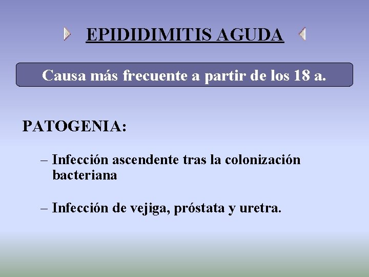 EPIDIDIMITIS AGUDA Causa más frecuente a partir de los 18 a. PATOGENIA: – Infección