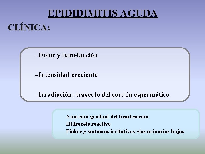EPIDIDIMITIS AGUDA CLÍNICA: –Dolor y tumefacción –Intensidad creciente –Irradiación: trayecto del cordón espermático Aumento