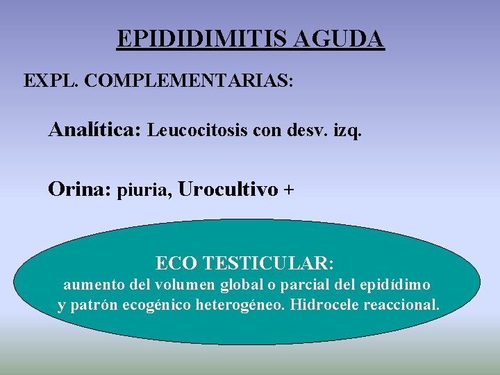 EPIDIDIMITIS AGUDA EXPL. COMPLEMENTARIAS: Analítica: Leucocitosis con desv. izq. Orina: piuria, Urocultivo + ECO