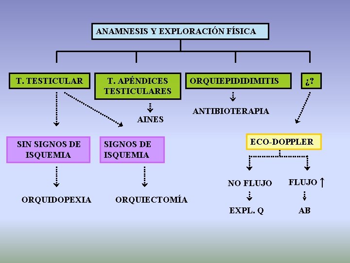 ANAMNESIS Y EXPLORACIÓN FÍSICA T. TESTICULAR T. APÉNDICES TESTICULARES AINES SIN SIGNOS DE ISQUEMIA
