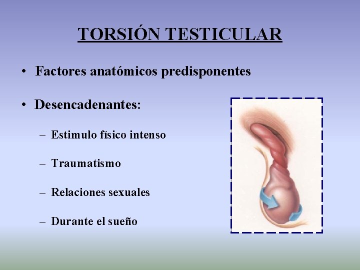 TORSIÓN TESTICULAR • Factores anatómicos predisponentes • Desencadenantes: – Estimulo físico intenso – Traumatismo