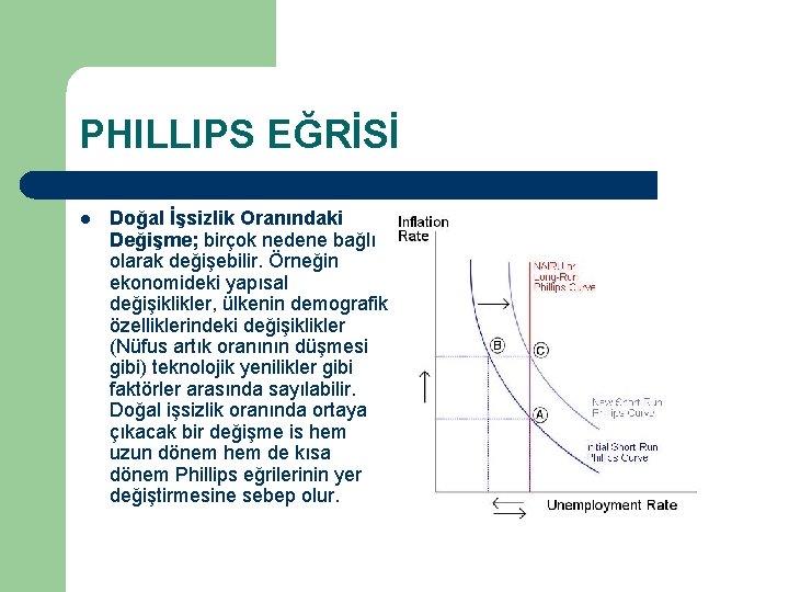 PHILLIPS EĞRİSİ l Doğal İşsizlik Oranındaki Değişme; birçok nedene bağlı olarak değişebilir. Örneğin ekonomideki