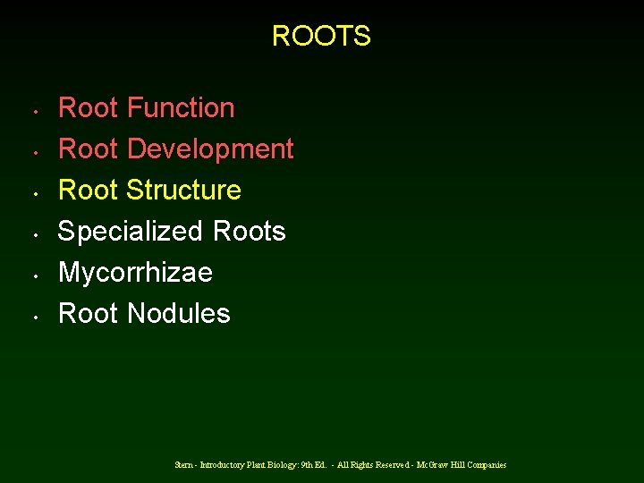 ROOTS • • • Root Function Root Development Root Structure Specialized Roots Mycorrhizae Root