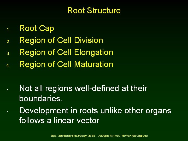 Root Structure 1. 2. 3. 4. • • Root Cap Region of Cell Division