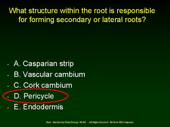 What structure within the root is responsible forming secondary or lateral roots? • •