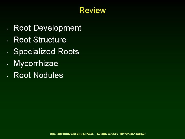 Review • • • Root Development Root Structure Specialized Roots Mycorrhizae Root Nodules Stern