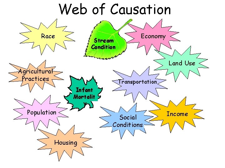 Web of Causation Race Stream Condition Economy Land Use Agricultural Practices Transportation Infant Mortalit