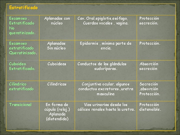 Estratificado Escamoso. Estratificado No queratinizado. Aplanadas con núcleo Cav. Oral, epiglotis, esófago, Cuerdas vocales Estratificado Escamoso. Estratificado No queratinizado. Aplanadas con núcleo Cav. Oral, epiglotis, esófago, Cuerdas vocales
