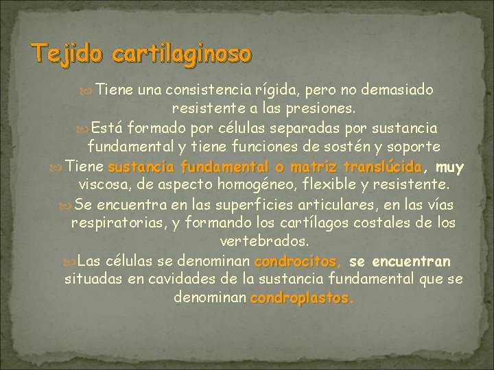 Tejido cartilaginoso Tiene una consistencia rígida, pero no demasiado resistente a las presiones. Está Tejido cartilaginoso Tiene una consistencia rígida, pero no demasiado resistente a las presiones. Está