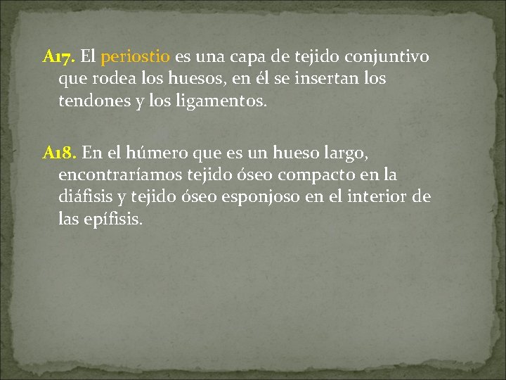 A 17. El periostio es una capa de tejido conjuntivo que rodea los huesos, A 17. El periostio es una capa de tejido conjuntivo que rodea los huesos,