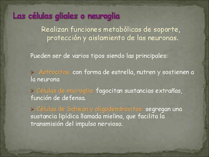 Las células gliales o neuroglia Realizan funciones metabólicas de soporte, protección y aislamiento de Las células gliales o neuroglia Realizan funciones metabólicas de soporte, protección y aislamiento de